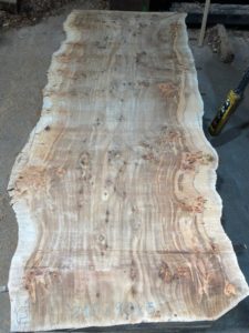 Tablón de madera maciza de Chopo Raíz para mesas.Solid poplar burl wood plank for tables.